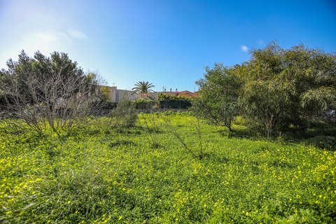 Zemes gabals pārdošanā Mallorca, Spānijā Nr. 148085 - attēls 2