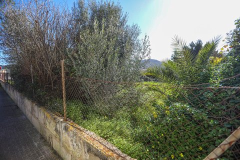 Zemes gabals pārdošanā Mallorca, Spānijā Nr. 148085 - attēls 3