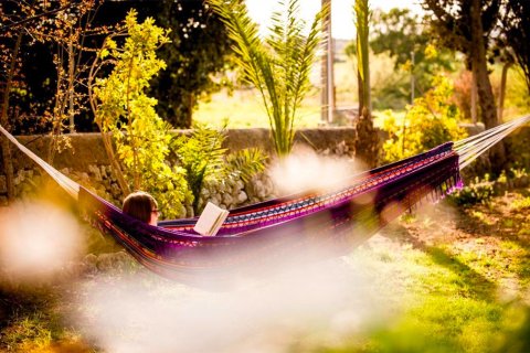 Gewerbeimmobilien zum Verkauf in Felanitx, Mallorca, Spanien 12 Schlafzimmer, 1500 m2 Nr. 148011 - Foto 10