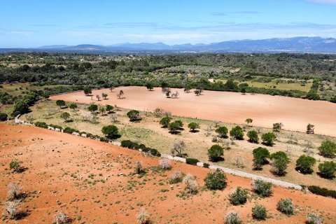 Villa zum Verkauf in Sineu, Mallorca, Spanien 7 Schlafzimmer, 920 m2 Nr. 148013 - Foto 26