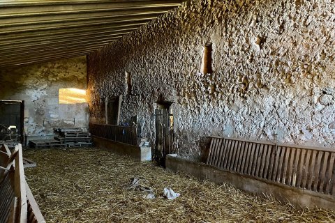 Villa zum Verkauf in Sineu, Mallorca, Spanien 7 Schlafzimmer, 920 m2 Nr. 148013 - Foto 18