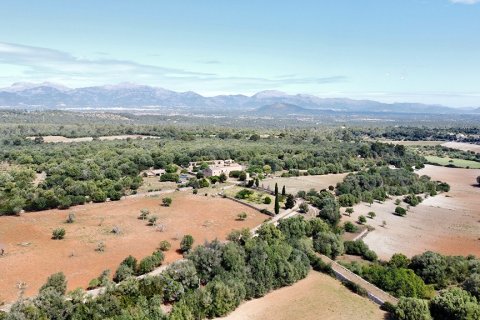 Villa zum Verkauf in Sineu, Mallorca, Spanien 7 Schlafzimmer, 920 m2 Nr. 148013 - Foto 27