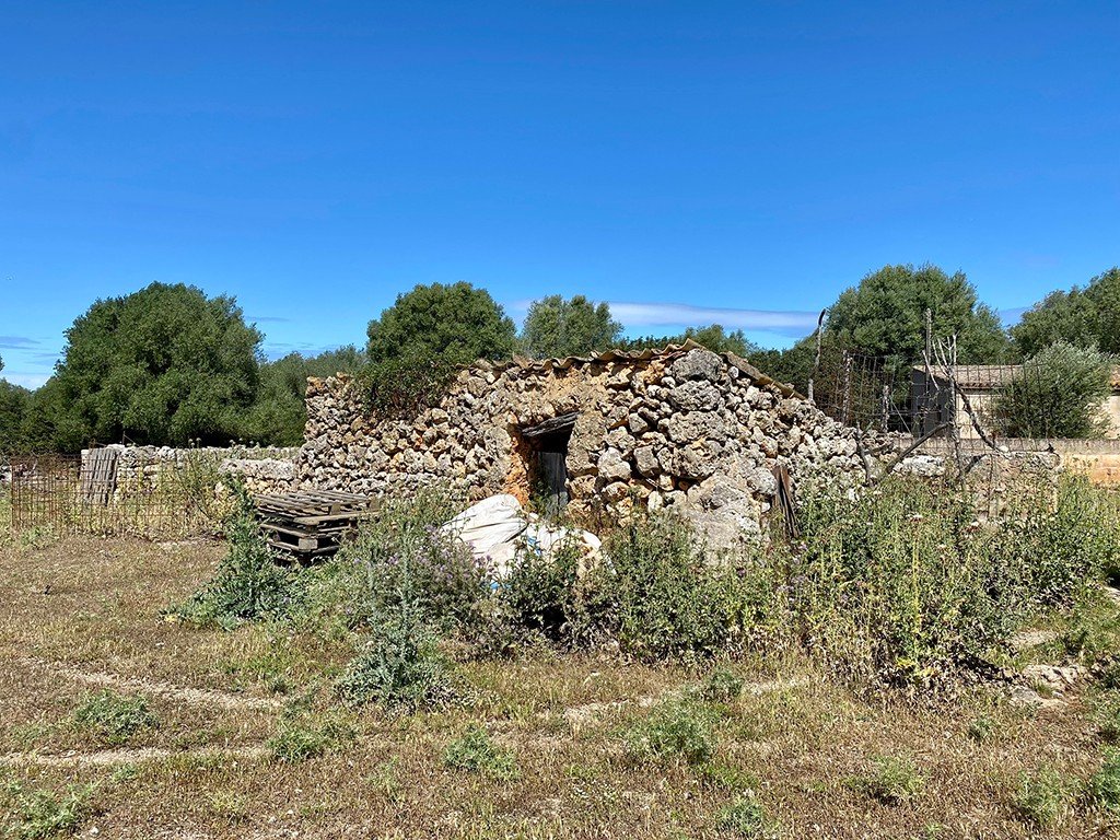Villa en Sineu, Mallorca, España 7 dormitorios, 920 m2 No. 148013
