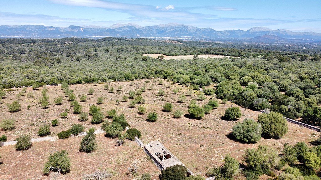 Villa en Sineu, Mallorca, España 7 dormitorios, 920 m2 No. 148013