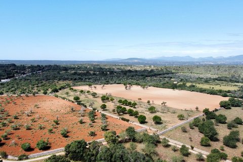 Villa zum Verkauf in Sineu, Mallorca, Spanien 7 Schlafzimmer, 920 m2 Nr. 148013 - Foto 29