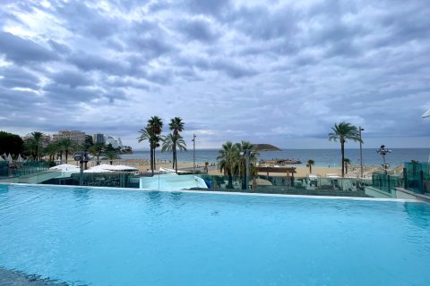 Apartamento en alquiler Magalluf, Mallorca, España 1 dormitorio, 48 m2 No. 137539 - foto 10