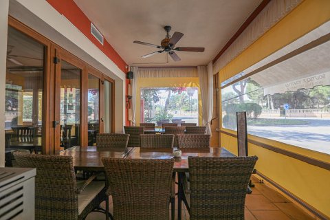 Gewerbeimmobilien zum Verkauf in Port Adriano, Mallorca, Spanien 3 Schlafzimmer, 360 m2 Nr. 155317 - Foto 4