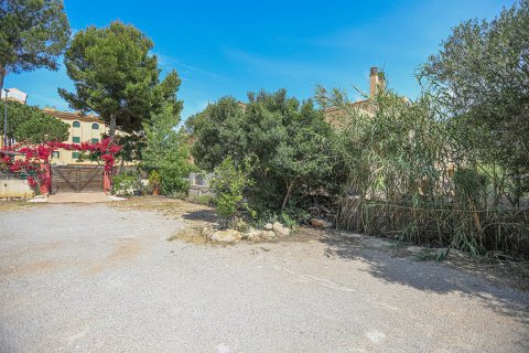 Gewerbeimmobilien zum Verkauf in Port Adriano, Mallorca, Spanien 3 Schlafzimmer, 360 m2 Nr. 155317 - Foto 19