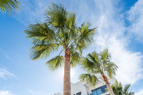 Wohnung zum Verkauf in Javea, Alicante, Spanien 3 Schlafzimmer, 110 m2 Nr. 180480 - Foto 29