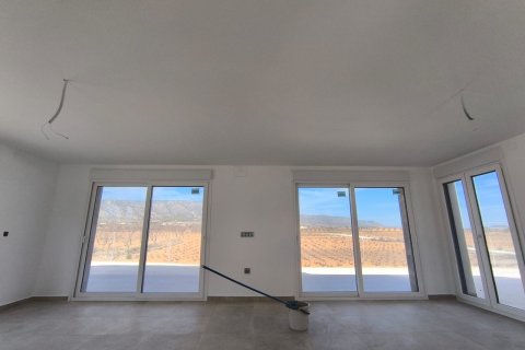 Villa till salu i Pinoso, Alicante, Spanien 3 sovrum, 153 kvm. Nr. 146640 - foto 12