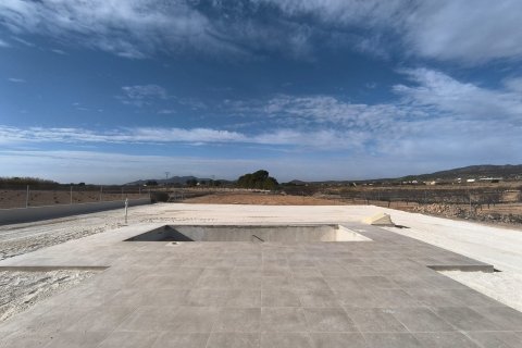 Villa till salu i Pinoso, Alicante, Spanien 3 sovrum, 153 kvm. Nr. 146640 - foto 7