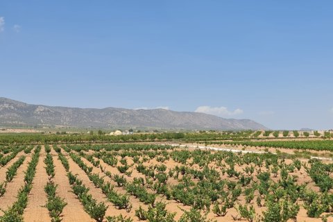 Villa till salu i Pinoso, Alicante, Spanien 3 sovrum, 153 kvm. Nr. 146640 - foto 4