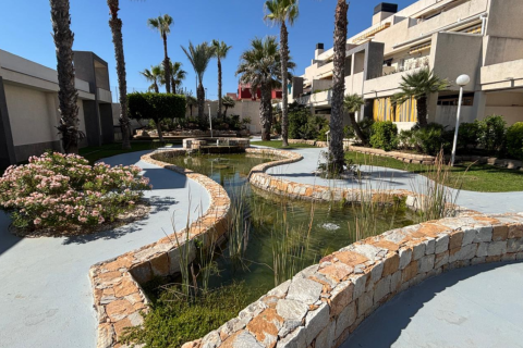 Apartamento en venta en La Mata, Alicante, España 2 dormitorios, 62 m2 No. 190171 - foto 18