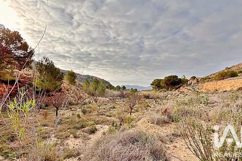 Terreno in vendita a Agost, Alicante, Spagna 9200 mq. N° 187719 - foto 7