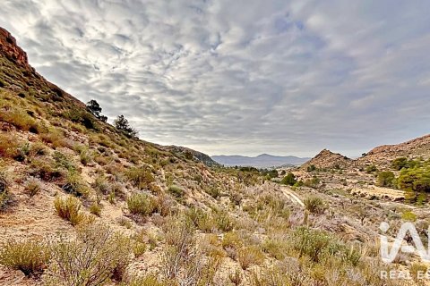 Terreno in vendita a Agost, Alicante, Spagna 9200 mq. N° 187719 - foto 15