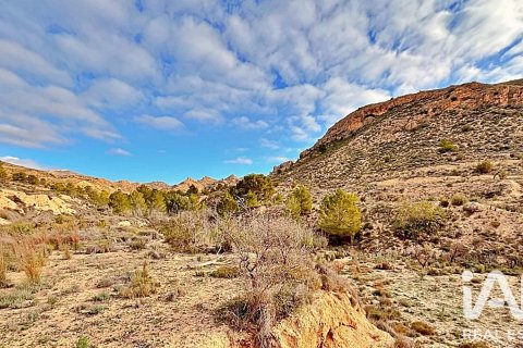 Terreno in vendita a Agost, Alicante, Spagna 9200 mq. N° 187719 - foto 9