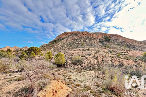 Terreno in vendita a Agost, Alicante, Spagna 9200 mq. N° 187719 - foto 24