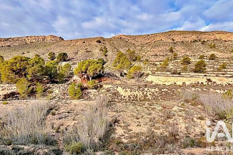 Terreno in vendita a Agost, Alicante, Spagna 9200 mq. N° 187719 - foto 16