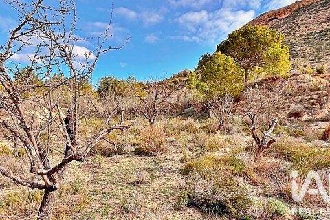 Terreno in vendita a Agost, Alicante, Spagna 9200 mq. N° 187719 - foto 11