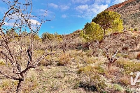 Terreno in vendita a Agost, Alicante, Spagna 9200 mq. N° 187719 - foto 25