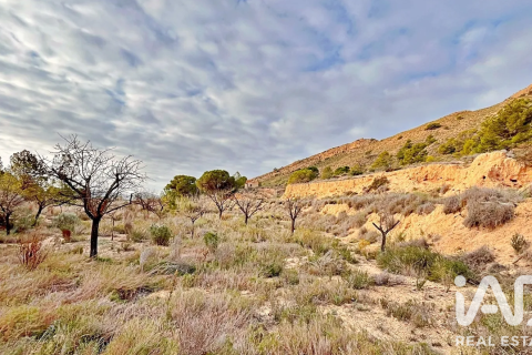 Terreno in vendita a Agost, Alicante, Spagna 9200 mq. N° 187719 - foto 21
