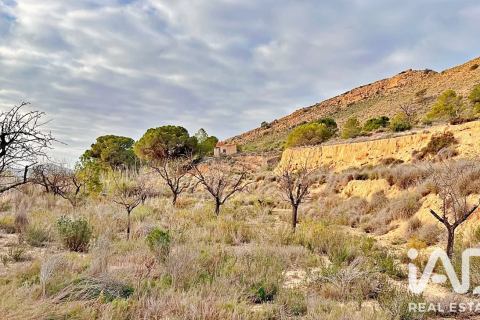 Terreno in vendita a Agost, Alicante, Spagna 9200 mq. N° 187719 - foto 19