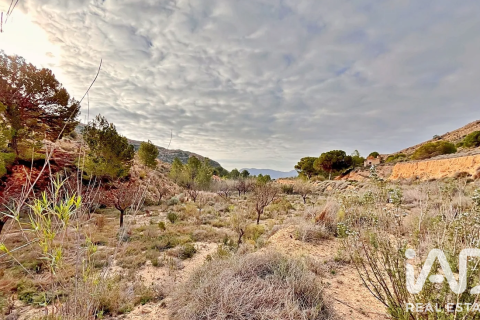 Terreno in vendita a Agost, Alicante, Spagna 9200 mq. N° 187719 - foto 18