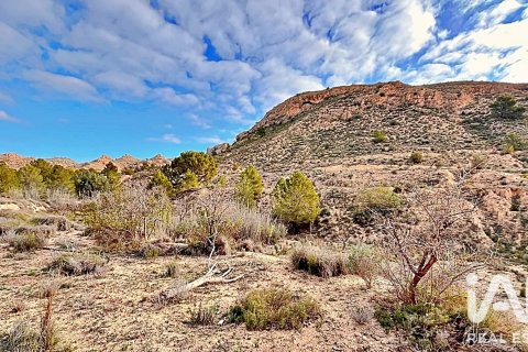 Terreno in vendita a Agost, Alicante, Spagna 9200 mq. N° 187719 - foto 4