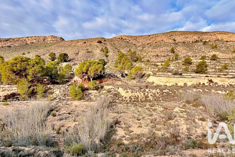 Terreno in vendita a Agost, Alicante, Spagna 9200 mq. N° 187719 - foto 26