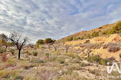 Terreno a Agost, Alicante, Spagna 9200 mq. N° 187719