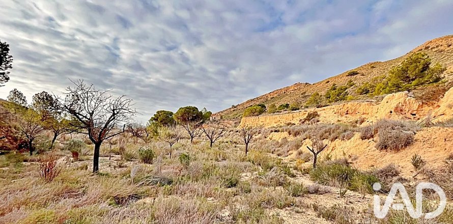 Terreno a Agost, Alicante, Spagna 9200 mq. N° 187719