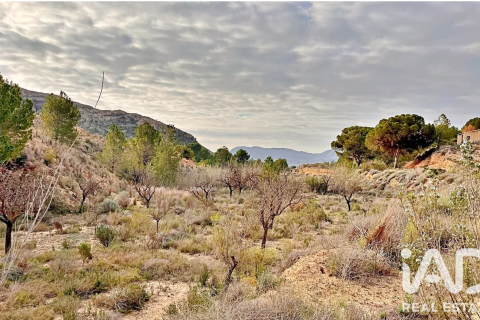 Terreno in vendita a Agost, Alicante, Spagna 9200 mq. N° 187719 - foto 20