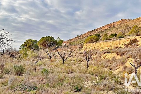 Terreno in vendita a Agost, Alicante, Spagna 9200 mq. N° 187719 - foto 2