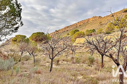 Terreno in vendita a Agost, Alicante, Spagna 9200 mq. N° 187719 - foto 13