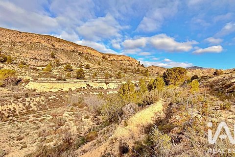 Terreno in vendita a Agost, Alicante, Spagna 9200 mq. N° 187719 - foto 14