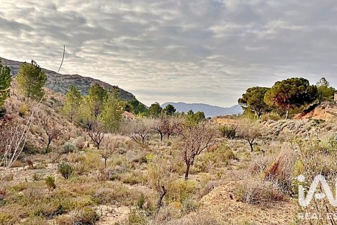 Terreno in vendita a Agost, Alicante, Spagna 9200 mq. N° 187719 - foto 6
