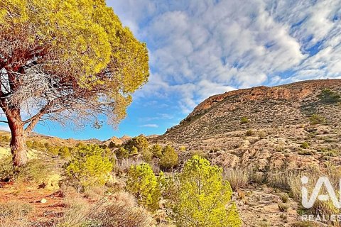 Terreno in vendita a Agost, Alicante, Spagna 9200 mq. N° 187719 - foto 10