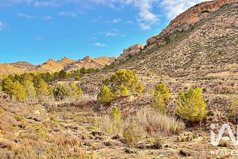 Terreno in vendita a Agost, Alicante, Spagna 9200 mq. N° 187719 - foto 5