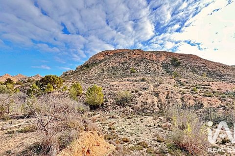 Terreno in vendita a Agost, Alicante, Spagna 9200 mq. N° 187719 - foto 8