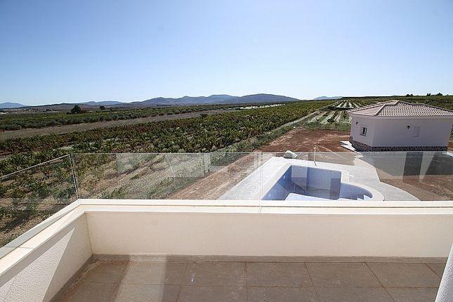 Huvila Pinoso, Alicante, Espanja 4 makuuhuonetta, 150 m2 No. 103424
