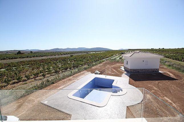 Huvila Pinoso, Alicante, Espanja 4 makuuhuonetta, 150 m2 No. 103424