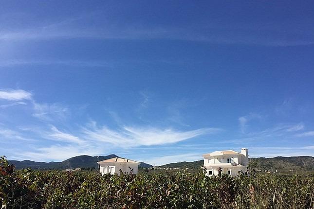 Huvila Pinoso, Alicante, Espanja 4 makuuhuonetta, 150 m2 No. 103424