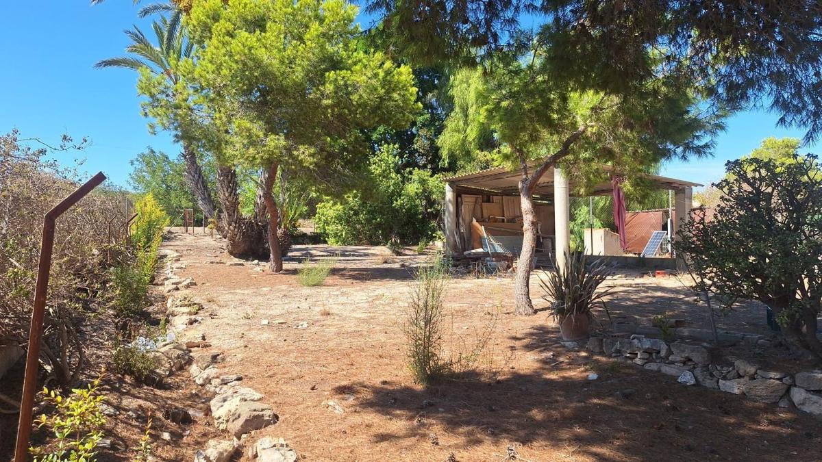 Huvila La Marina, Alicante, Espanja 3 makuuhuonetta, 129 m2 No. 112885