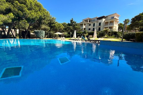 Apartamento en alquiler Santa Ponsa, Mallorca, España 3 dormitorios, 164 m2 No. 137559 - foto 2