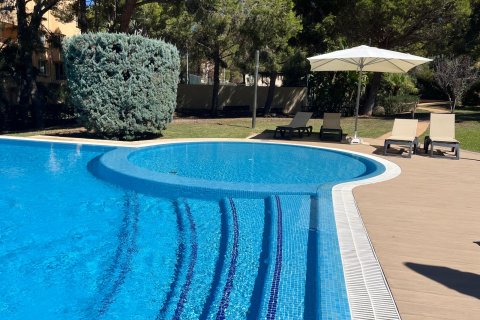 Apartamento en alquiler Santa Ponsa, Mallorca, España 3 dormitorios, 164 m2 No. 137559 - foto 1