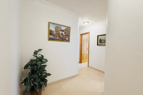 Apartment for sale La Mata, Alicante, Spain 4 bedrooms, 123 sq.m. No. 137562 - photo 25