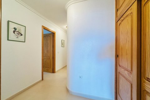 Apartment for sale La Mata, Alicante, Spain 4 bedrooms, 123 sq.m. No. 137562 - photo 18