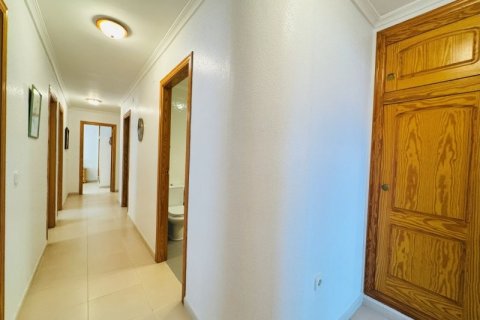 Apartment for sale La Mata, Alicante, Spain 4 bedrooms, 123 sq.m. No. 137562 - photo 19