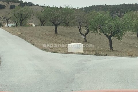 House for sale Taberno, Almeria, Spain 7 bedrooms, 477 sq.m. No. 78053 - photo 26