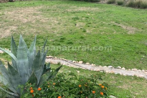 House for sale Taberno, Almeria, Spain 7 bedrooms, 477 sq.m. No. 78053 - photo 25